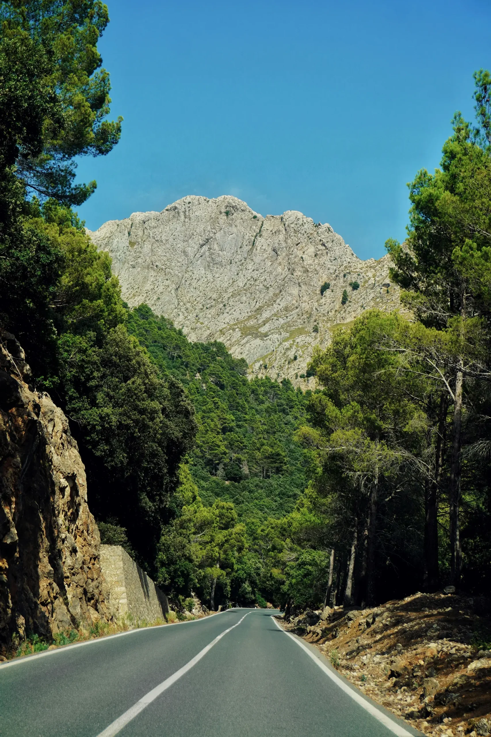 © Doniger Developments Balearics